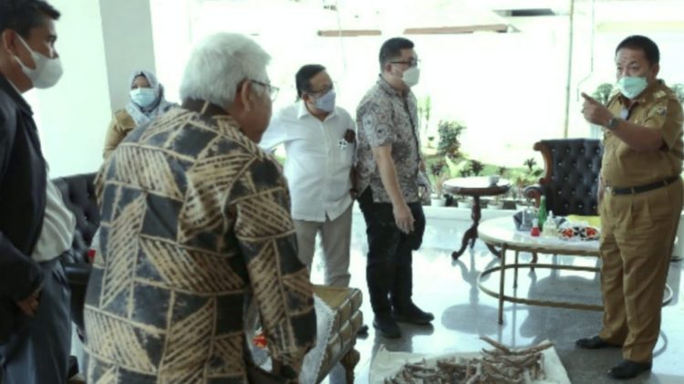 Arinal Dongkrak Harga Ubi Kayu Kian Membaik