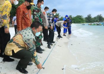 Gubernur Lampung dan Babel Lepasliarkan Anak Penyu