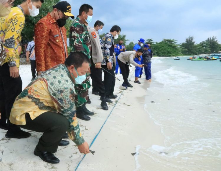Gubernur Lampung dan Babel Lepasliarkan Anak Penyu