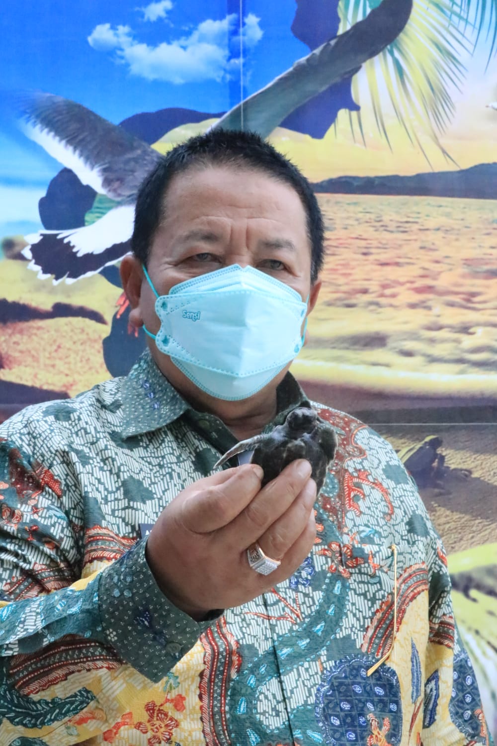 Gubernur Lampung dan Babel Lepasliarkan Anak Penyu