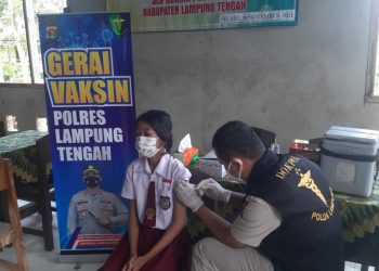 Lappung.com