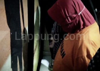 Lappung.com