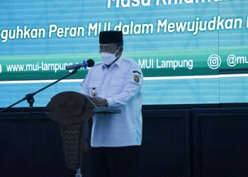 Lappung.com