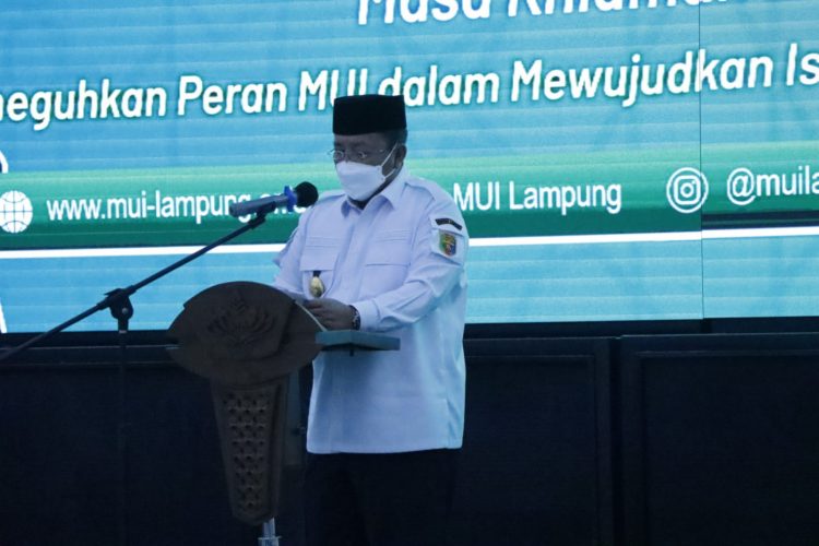 Lappung.com