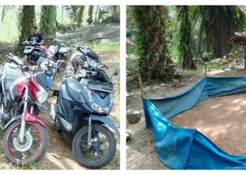 Polsek Candipuro Gerebek Judi Sabung Ayam