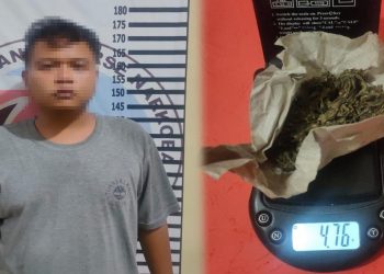 Pengedar Ganja Asal Banjar Agung Ditangkap Polres Tulangbawang