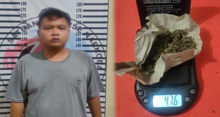 Pengedar Ganja Asal Banjar Agung Ditangkap Polres Tulangbawang
