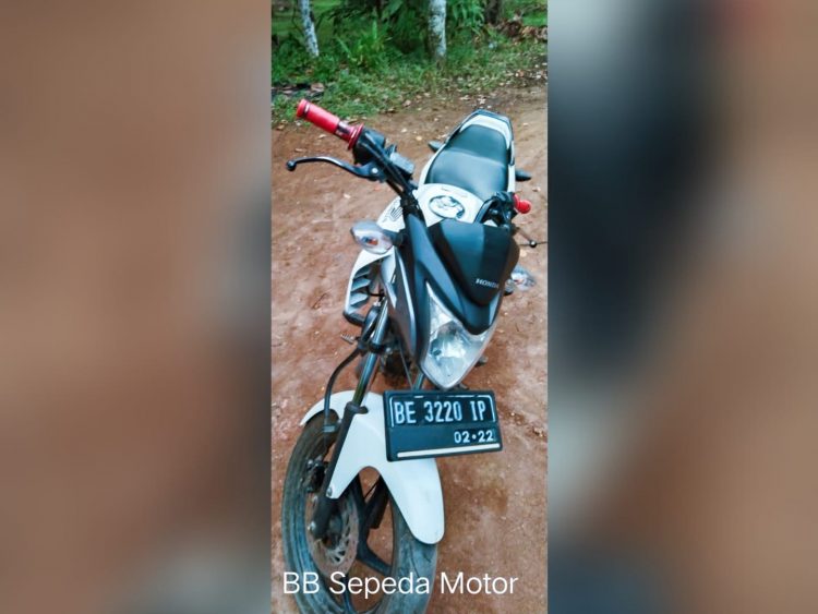 Lappung.com