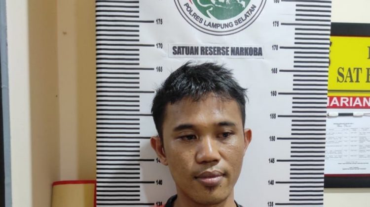 Pemakai Narkotika di Kecamatan Penengahan Lampung Selatan