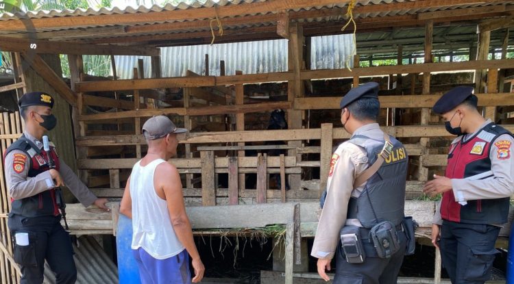 Polisi Kunjungi Dua Lokasi Peternakan Sapi di Tulangbawang Antisipasi PMK