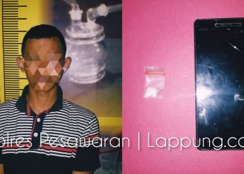 Kurir Narkoba Asal Negeri Sakti Ditangkap Polisi