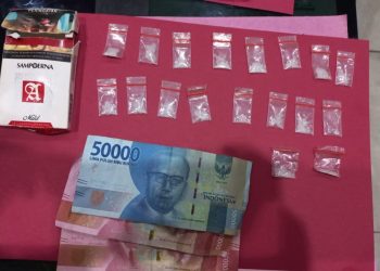 Polisi Tangkap Pengedar Narkotika di Desa Kurungan Nyawa Pesawaran