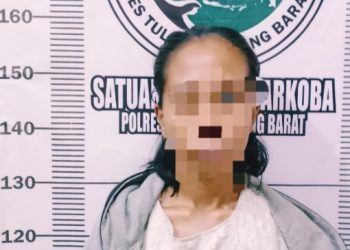 Wanita STW Ditangkap Polres Tulangbawang Barat karena Narkotika