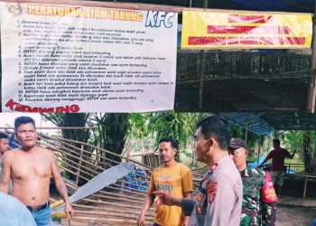 43 Polisi Grebek Arena Judi Sabung Ayam di Jati