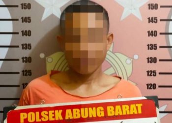 Polsek Abung Barat Tangkap DPO Curat di Tanjung Harta