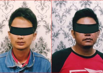 Penangkapan Ganja di Lampung Barat dan Pesisir Barat