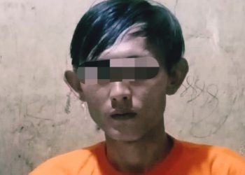 Pelaku Curas Asal Adi Jaya Ditangkap Polisi