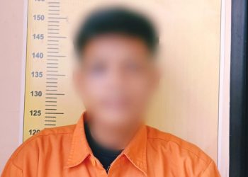 Setubuhi Anak Dibawah Umur