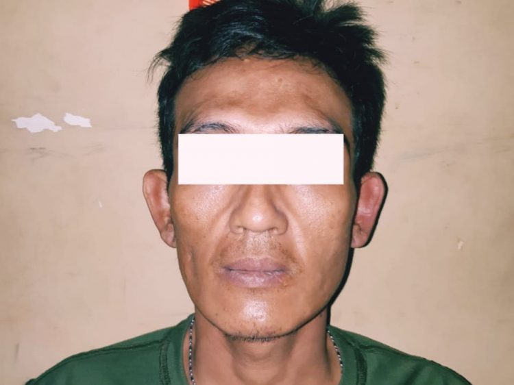 Bandar Pil Ekstasi Asal Pesawahan