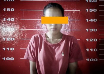 Ibu Muda Maling di Pasar Unit 2 Ditangkap Polisi