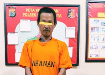 Polisi Tangkap Bapak Tiri Cabuli Anak di Pekon Mutar Alam