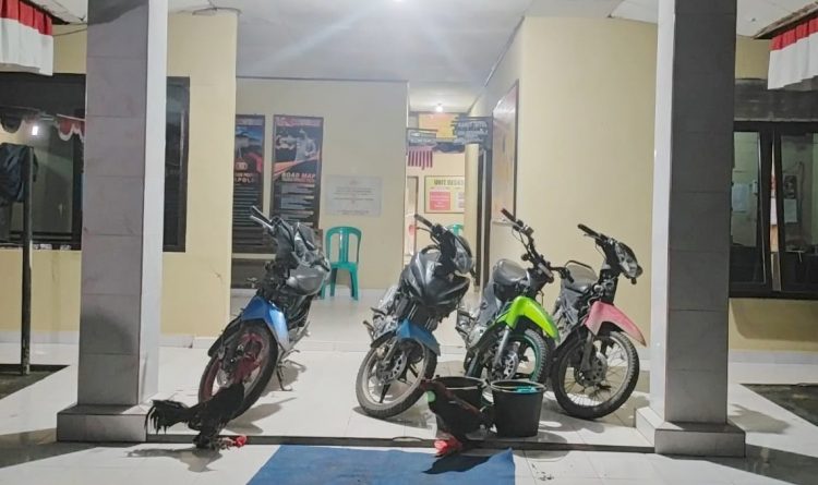 Polisi Gerebek Judi Sabung Ayam di Kampung Tri Rejo Mulyo