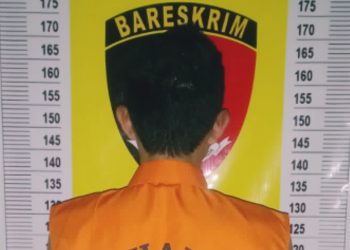 Polisi Tangkap Maling HP di Desa Bumisari