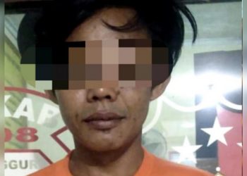 Curi Burung Murai di Punggur