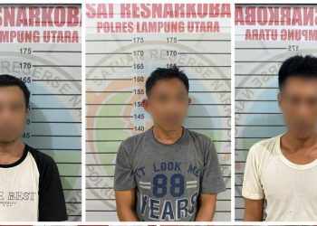 Polres Lampung Utara Tangkap 3 Orang Miliki Narkotika