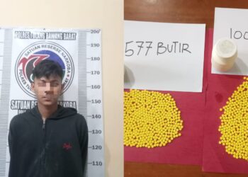 Pengedar Pil Hexymer Asal Mesuji Ditangkap Polisi