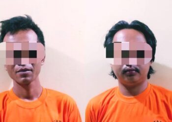 2 Pencuri Buah Sawit PTPN 7 Bekri Ditangkap Polisi