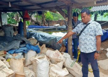 Penambang Emas Liar Desa Dono Mulyo Ditangkap