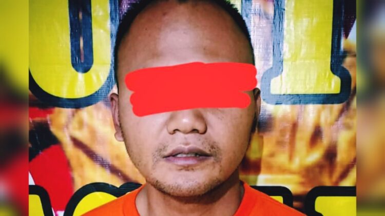 Pelaku Curas Asal Desa Margorejo Tegineneng Ditangkap