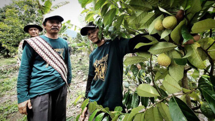 Kepala BPDASHL WSS Kunjungi Lokasi Penanaman RHL