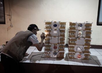 Karantina Pertanian Lampung Gagalkan Penyelundupan Burung Ilegal