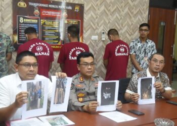 Polda Lampung Ungkap Perdagangan Gelap Kayu Ilegal