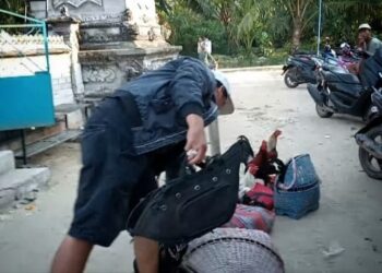 Gerebek Judi Sabung Ayam di Seputih Banyak, Belasan Sepeda Motor Ditinggal Kabur