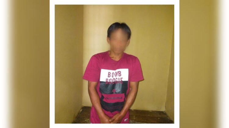 Pura-pura Bertamu, Pria di Sekampung Udik Cabuli Istri Teman