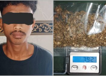 Bawa Ganja, Pemuda Asal Tulang Bawang Diringkus Polres Lampung Barat