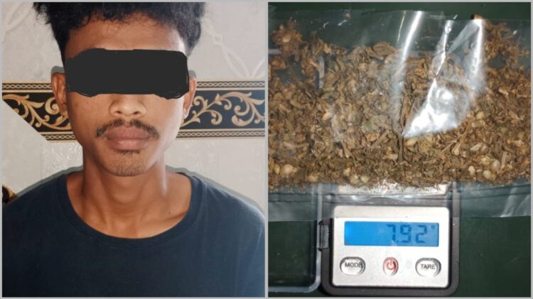 Bawa Ganja, Pemuda Asal Tulang Bawang Diringkus Polres Lampung Barat