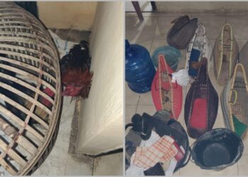Polres Lampung Timur Gerebek Judi Sabung Ayam