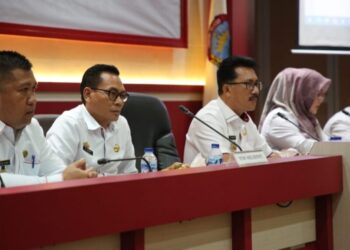 12 Mei 2023, Menpan RB Resmikan MPP Lampung Selatan