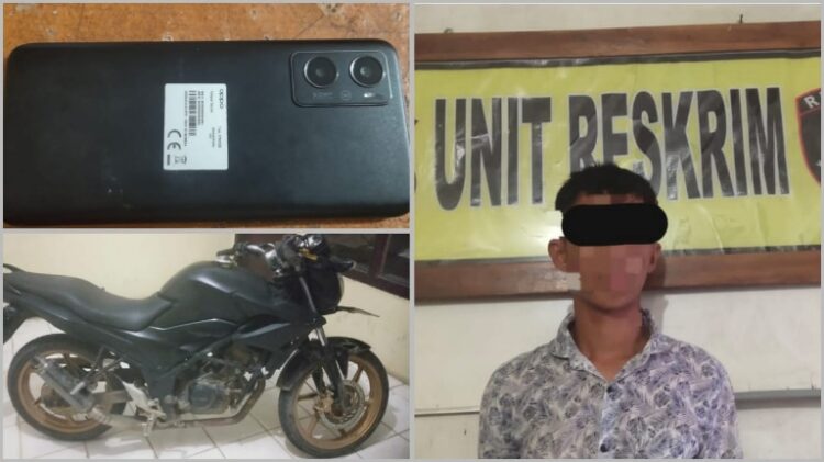 Beraksi di 2 TKP, Pencuri Motor dan HP di Lampung Utara Akhirnya Tertangkap 