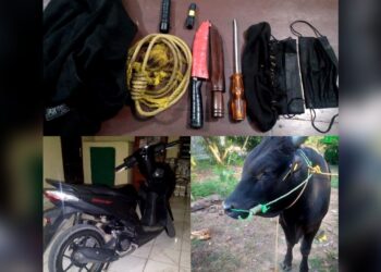 2 Maling Sapi di Lampung Tengah Kepergok Warga, Berawal dari Suara Langkah Kaki