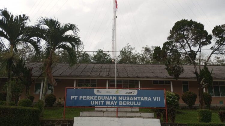 Wayberulu dan Manfaatnya Bagi Rakyat