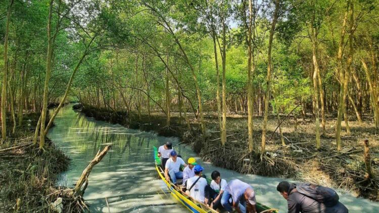 Bobby Irawan Kampanyekan Wisata Mangrove Labuhan Maringgai
