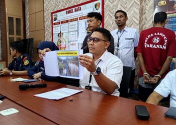 Perusak Hutan Mangrove di Pesisir Bandarlampung Ditangkap