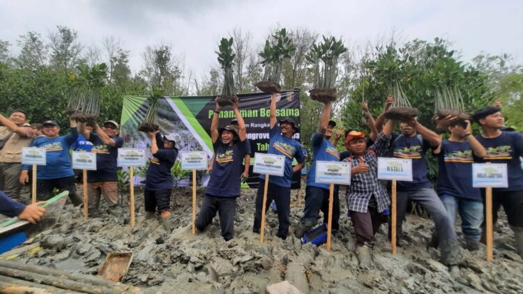 Pemprov Lampung dan BPDAS WSS Peringati Hari Mangrove Sedunia 2023