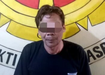 Bawa Kabur Hasil Panen Singkong, Pria di Lampung Tengah Ditangkap Polisi