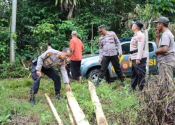 Gajah Liar Rusak Perkebunan Warga di Semaka Tanggamus